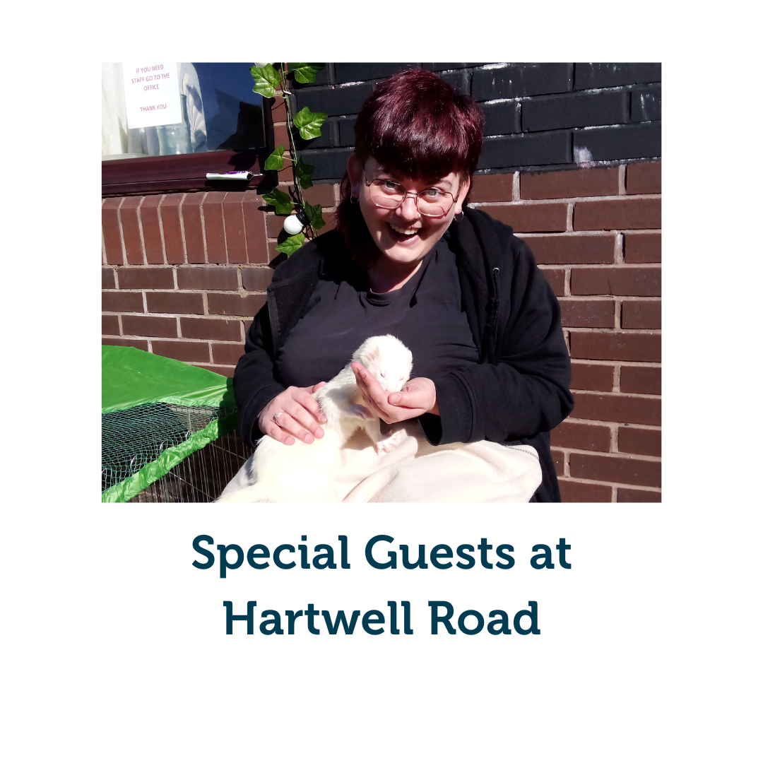 Special guests at Hartwell Road