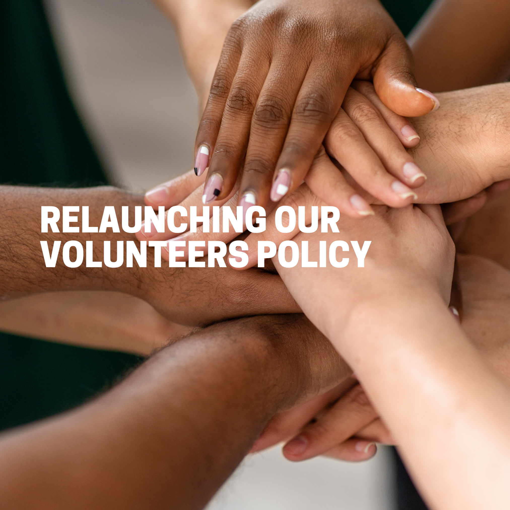Sharing Skills and Passions Through our Refreshed Volunteers Policy