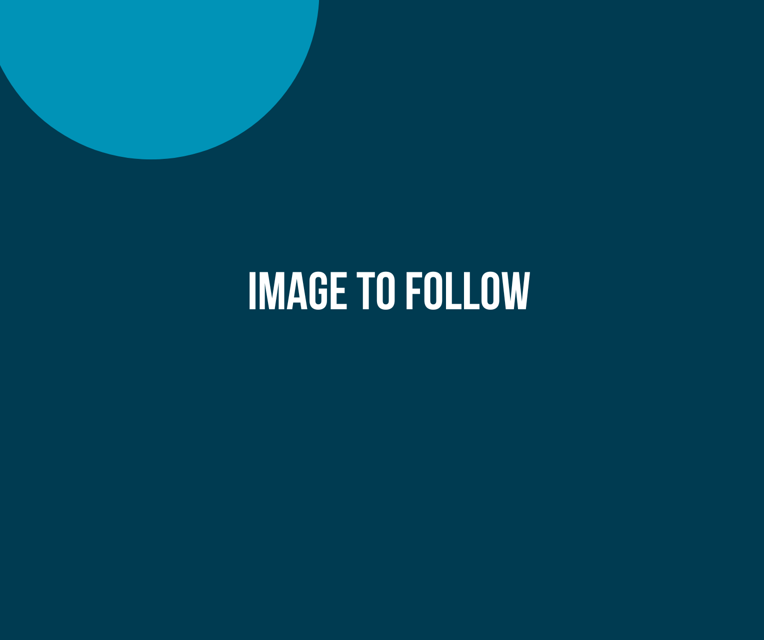 Head of Corporate Governance